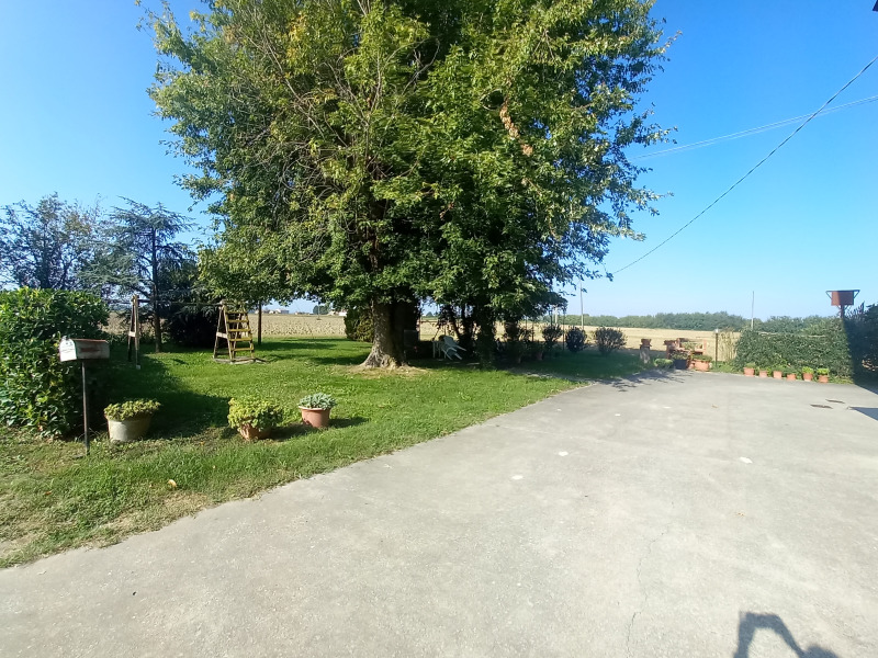 FONTANELLATO - PODERE AGRICOLO CON RESIDENZA ( 65 BIOLCHE ) - FO 433