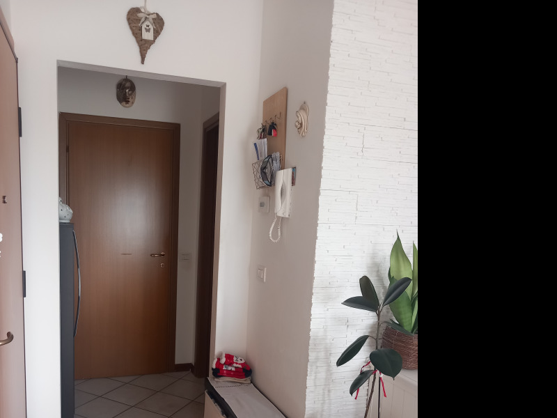 FONTANELLATO - APPARTAMENTO CON 3 CAMERE - FO 437