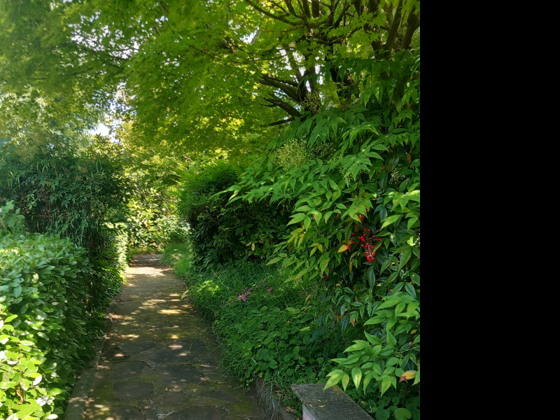 FONTANELLATO -  VILLA BIFAMILIARE CON GIARDINO  FRONTE SANTUARIO - FO 427